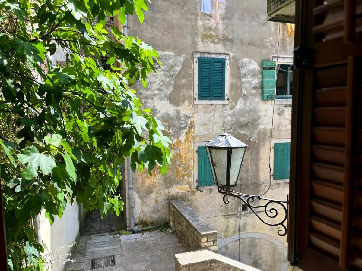 South Gate Apartments 262 Kotor Kültér fotó